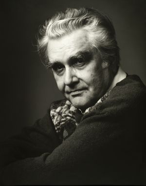 MUO-043730: Josip Poljan: fotografija
