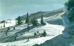 MUO-016980/293: JAHORINA - POGLEDINE: dijapozitiv