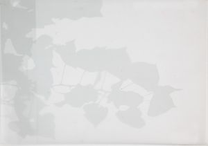 ./public/core/img/default_03.png