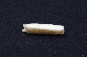 MUO-009783/68: minijaturni predmet