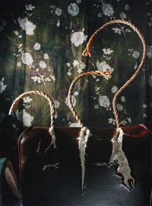 MUO-050948: Still life with a chair, ropes, wallpaper and thread: fotografija