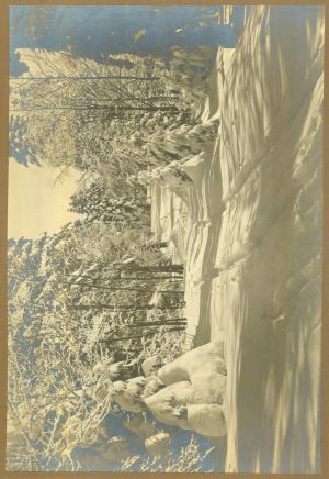MUO-051487: Brezovica - šumska staza pod snijegom: fotografija