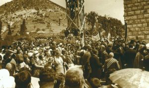 MUO-016980/251: SAMODREŽA: dijapozitiv
