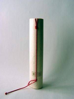 MUO-048413/01: 60 godina Plive: diploma