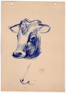 MUO-056561/07: Skica kravlje glave: crtež