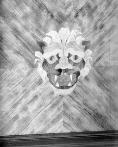 MUO-014708/08: Detalj intarzije s lavljom glavom: negativ