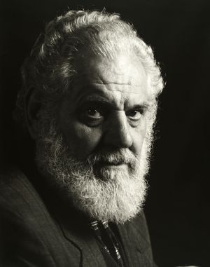 MUO-043726: Viktor Goričan: fotografija
