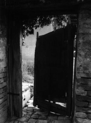 MUO-016986/04: Vrata: fotografija