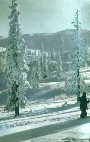 MUO-016980/295: JAHORINA - POGLEDINE: dijapozitiv