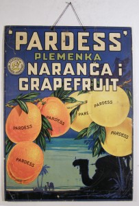 MUO-020005: Pardess plemenka naranča i grapefruit: plakat