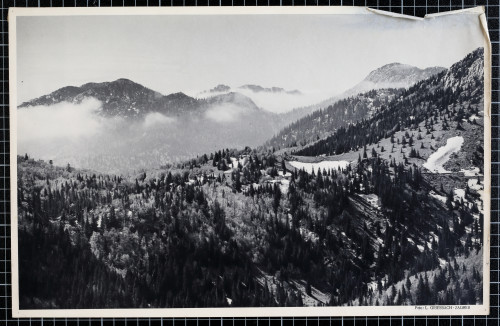 MUO-018253/03: Sjeverni Velebit: fotografija