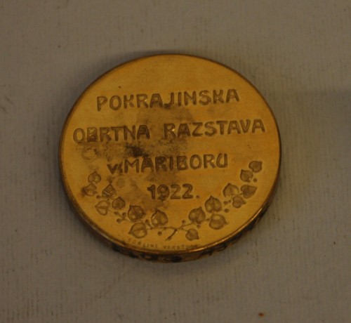 MUO-013970/01: medalja