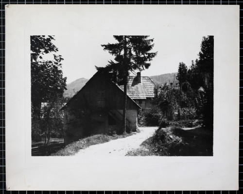 MUO-022775: Gorski kotar: fotografija