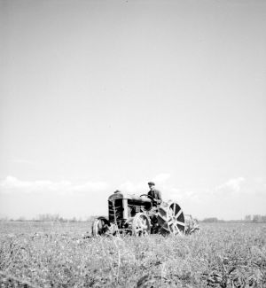 MUO-035157/296: Traktor u polju: fotografija