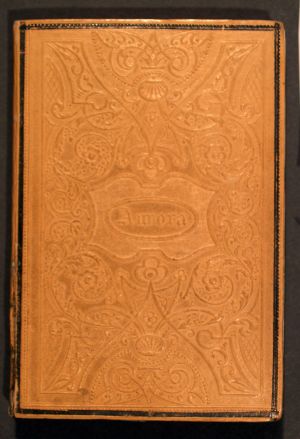 MUO-007891: Aurora - Taschenbuch für das Jahr 1831 heraus gegeben Johann Gabriel Seidl. Wien, bei Heinrich Buchholz: knjiga