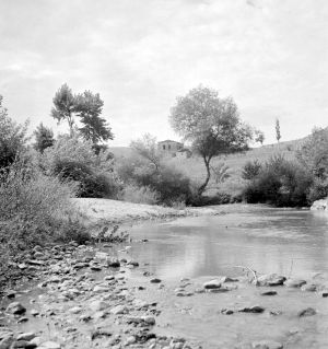 MUO-035157/127: Pejzaž s rijekom: negativ