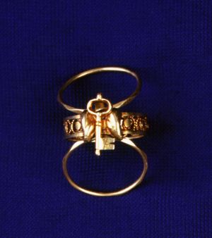 DIJA-1106: prsten