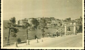 MUO-049373: Dubrovnik - Pogled na zidine i staru luku: razglednica