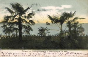 MUO-039128: Opatija - Obala s palmama: razglednica