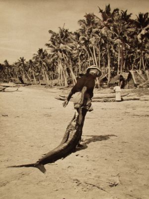 MUO-035622: Ribar sa sabljarkom, Colombo, 1955.: fotografija