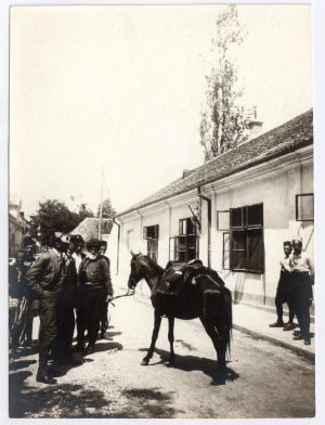 MUO-027955: Put u Bosnu - Ogledanje konja: fotografija