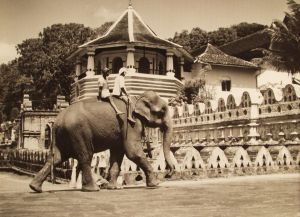 MUO-035618: Pred hramom budina Zuba, Kandy, 1955.: fotografija