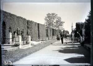 MUO-041958: Varaždinsko groblje: negativ