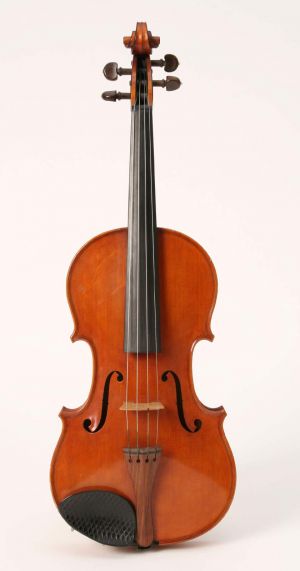 MUO-012044/01: Violina: violina