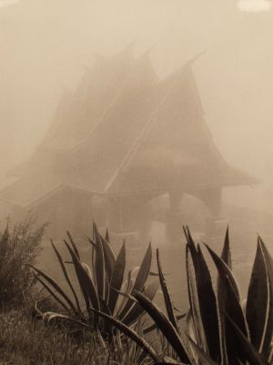 MUO-035649: Tropska kiša,  Jakarta, 1956.: fotografija