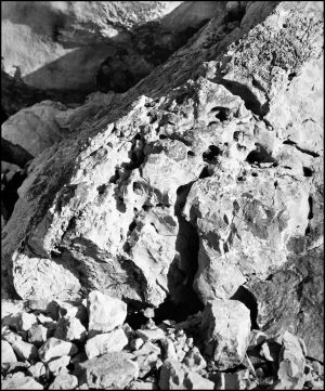 MUO-040506: Kamen spužva I: fotografija