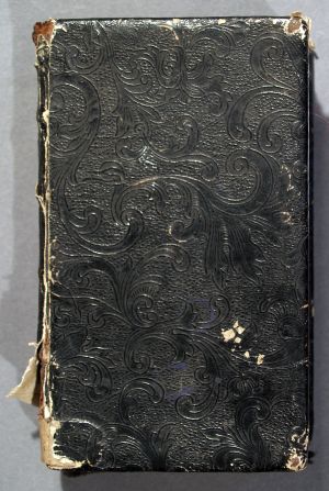 MUO-008087: Wueste oder Einoede Jesu Christi...P.F.  Hippolyto Peez... Augspurg, verlegts Johann Andreas Pfeffel, 1736.: knjiga