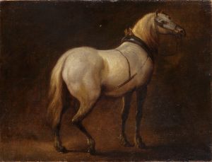 MUO-025567: Konj: slika