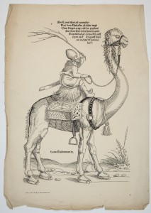 MUO-056623: Ein Camel thier ab conterfect: grafika