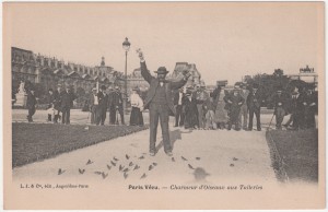 MUO-016118/A/19: Paris  - Šarmer ptica u Tuileries: razglednica