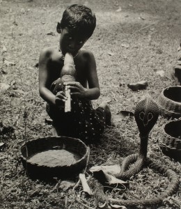 MUO-035739: Dječak sa zmijom, Sri Lanka, 1955.: fotografija