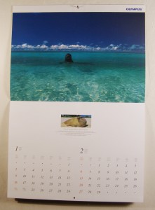 MUO-030755: Olympus The Fragile Blue Sanctuary 2000 Olympus Calender/Where nature thrives all alone-the Northwest Hawaiian Islands. Olympus focus on life.: kalendar