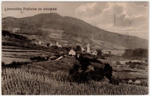 MUO-033089: Plješivica - Vinogradi: razglednica