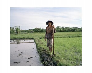 MUO-056857: Indonesian Rice Workers: fotografija