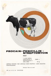 MUO-053487: Pliva Procain - Penicillin + Streptomycin: letak