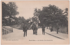 MUO-016118/A/08: Paris Vecu - U zoološkom vrtu: razglednica
