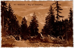 MUO-008745/380: Švicarska - Wengen: razglednica