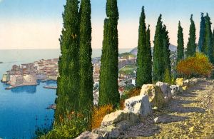 MUO-039150: Dubrovnik - Panorama: razglednica