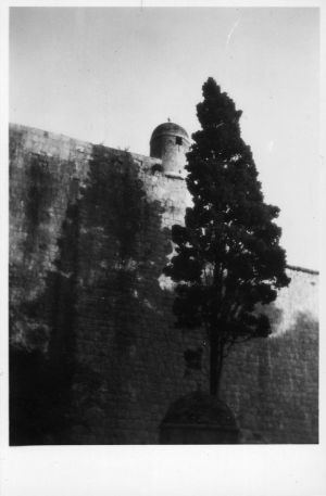 MUO-044175: Dubrovnik - zidine: negativ