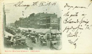 MUO-047977: Chicago  -  South water street: razglednica