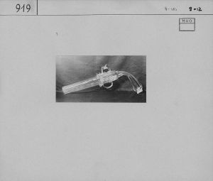 FOTO-00919: bilikum u obliku pištolja