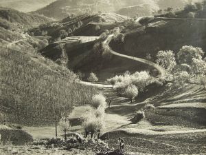 MUO-035675/02: Zagorski pejzaž II, 1948.: fotografija