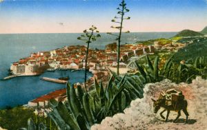 MUO-039169: Dubrovnik - Panorama: razglednica
