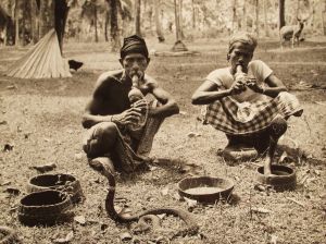 MUO-035616: Krotitelji zmija, Sri Lanka, 1955.: fotografija