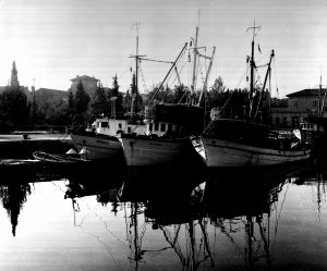 MUO-052673: Barke na Jadranu: fotografija