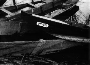 MUO-052688: Potopljeni čamci na Bosutu.: fotografija
